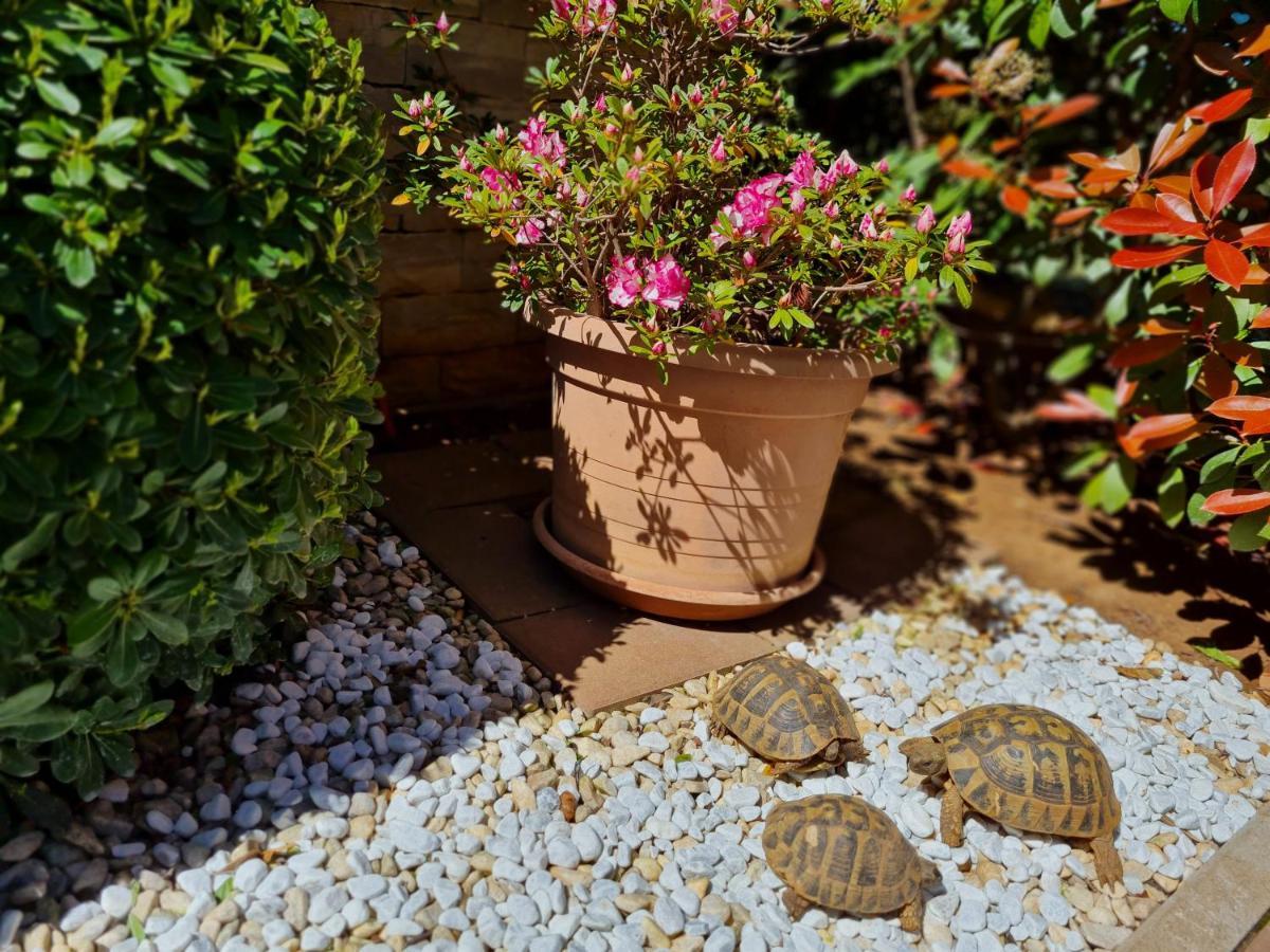 Holiday Home Drago Zadar Luaran gambar